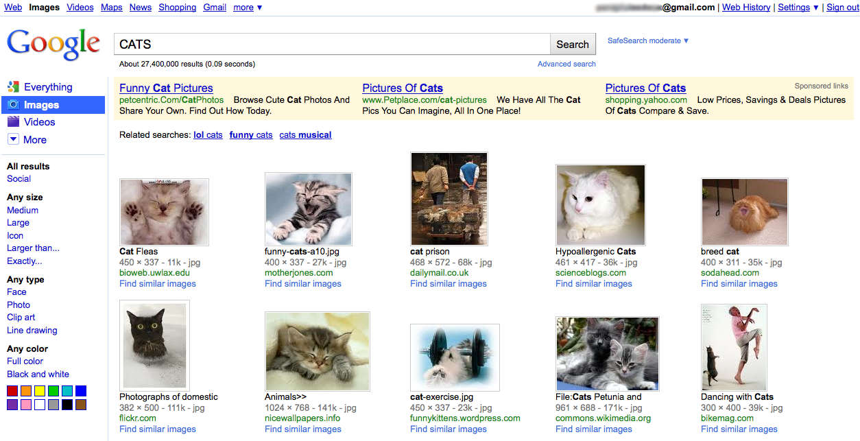 Google Image Search results with sidebar (2010)